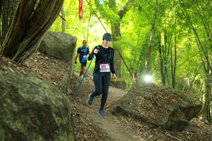 BIB: 
                            <button type="button" onclick="openModal(13535986)" class="btn btn-primary btn-sm float-right btn-popup" data-toggle="modal" data-target=".modal-high-quality">
                        <i class="fas fa-shopping-cart"></i> Add to Cart
                    </button>
                                            <button type="button" onclick="isThisMe(13535986, true)" class="btn btn-success btn-sm float-right btn-popup btn-isme hidden" data-toggle="tooltip" data-placement="bottom" title="นี่คือรูปของคุณใช่ไหม คลิกที่นี่เพื่อเอาเข้าอัลบั้ม">
                        <i class="fas fa-plus"></i> Add to album
                    </button>
                    <button type="button" onclick="isThisMe(13535986, false)" class="btn btn-warning btn-sm float-right btn-popup btn-isnotme hidden">
                        <i class="fas fa-ban"></i> Remove from album
                    </button>