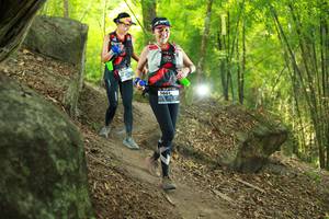 BIB: 
                            <button type="button" onclick="openModal(13531843)" class="btn btn-primary btn-sm float-right btn-popup" data-toggle="modal" data-target=".modal-high-quality">
                        <i class="fas fa-shopping-cart"></i> Add to Cart
                    </button>
                                            <button type="button" onclick="isThisMe(13531843, true)" class="btn btn-success btn-sm float-right btn-popup btn-isme hidden" data-toggle="tooltip" data-placement="bottom" title="นี่คือรูปของคุณใช่ไหม คลิกที่นี่เพื่อเอาเข้าอัลบั้ม">
                        <i class="fas fa-plus"></i> Add to album
                    </button>
                    <button type="button" onclick="isThisMe(13531843, false)" class="btn btn-warning btn-sm float-right btn-popup btn-isnotme hidden">
                        <i class="fas fa-ban"></i> Remove from album
                    </button>