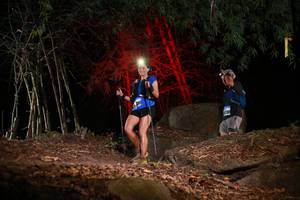 BIB: 
                            <button type="button" onclick="openModal(13619768)" class="btn btn-primary btn-sm float-right btn-popup" data-toggle="modal" data-target=".modal-high-quality">
                        <i class="fas fa-shopping-cart"></i> Add to Cart
                    </button>
                                            <button type="button" onclick="isThisMe(13619768, true)" class="btn btn-success btn-sm float-right btn-popup btn-isme hidden" data-toggle="tooltip" data-placement="bottom" title="นี่คือรูปของคุณใช่ไหม คลิกที่นี่เพื่อเอาเข้าอัลบั้ม">
                        <i class="fas fa-plus"></i> Add to album
                    </button>
                    <button type="button" onclick="isThisMe(13619768, false)" class="btn btn-warning btn-sm float-right btn-popup btn-isnotme hidden">
                        <i class="fas fa-ban"></i> Remove from album
                    </button>