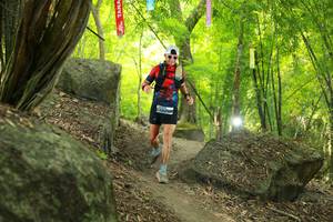 BIB: 
                            <button type="button" onclick="openModal(13536016)" class="btn btn-primary btn-sm float-right btn-popup" data-toggle="modal" data-target=".modal-high-quality">
                        <i class="fas fa-shopping-cart"></i> Add to Cart
                    </button>
                                            <button type="button" onclick="isThisMe(13536016, true)" class="btn btn-success btn-sm float-right btn-popup btn-isme hidden" data-toggle="tooltip" data-placement="bottom" title="นี่คือรูปของคุณใช่ไหม คลิกที่นี่เพื่อเอาเข้าอัลบั้ม">
                        <i class="fas fa-plus"></i> Add to album
                    </button>
                    <button type="button" onclick="isThisMe(13536016, false)" class="btn btn-warning btn-sm float-right btn-popup btn-isnotme hidden">
                        <i class="fas fa-ban"></i> Remove from album
                    </button>