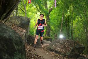 BIB: 
                            <button type="button" onclick="openModal(13528526)" class="btn btn-primary btn-sm float-right btn-popup" data-toggle="modal" data-target=".modal-high-quality">
                        <i class="fas fa-shopping-cart"></i> Add to Cart
                    </button>
                                            <button type="button" onclick="isThisMe(13528526, true)" class="btn btn-success btn-sm float-right btn-popup btn-isme hidden" data-toggle="tooltip" data-placement="bottom" title="นี่คือรูปของคุณใช่ไหม คลิกที่นี่เพื่อเอาเข้าอัลบั้ม">
                        <i class="fas fa-plus"></i> Add to album
                    </button>
                    <button type="button" onclick="isThisMe(13528526, false)" class="btn btn-warning btn-sm float-right btn-popup btn-isnotme hidden">
                        <i class="fas fa-ban"></i> Remove from album
                    </button>