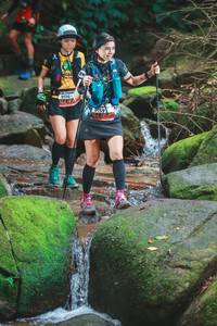 BIB: 
                            <button type="button" onclick="openModal(13540933)" class="btn btn-primary btn-sm float-right btn-popup" data-toggle="modal" data-target=".modal-high-quality">
                        <i class="fas fa-shopping-cart"></i> Add to Cart
                    </button>
                                            <button type="button" onclick="isThisMe(13540933, true)" class="btn btn-success btn-sm float-right btn-popup btn-isme hidden" data-toggle="tooltip" data-placement="bottom" title="นี่คือรูปของคุณใช่ไหม คลิกที่นี่เพื่อเอาเข้าอัลบั้ม">
                        <i class="fas fa-plus"></i> Add to album
                    </button>
                    <button type="button" onclick="isThisMe(13540933, false)" class="btn btn-warning btn-sm float-right btn-popup btn-isnotme hidden">
                        <i class="fas fa-ban"></i> Remove from album
                    </button>