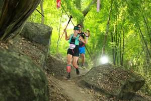 BIB: 
                            <button type="button" onclick="openModal(13532151)" class="btn btn-primary btn-sm float-right btn-popup" data-toggle="modal" data-target=".modal-high-quality">
                        <i class="fas fa-shopping-cart"></i> Add to Cart
                    </button>
                                            <button type="button" onclick="isThisMe(13532151, true)" class="btn btn-success btn-sm float-right btn-popup btn-isme hidden" data-toggle="tooltip" data-placement="bottom" title="นี่คือรูปของคุณใช่ไหม คลิกที่นี่เพื่อเอาเข้าอัลบั้ม">
                        <i class="fas fa-plus"></i> Add to album
                    </button>
                    <button type="button" onclick="isThisMe(13532151, false)" class="btn btn-warning btn-sm float-right btn-popup btn-isnotme hidden">
                        <i class="fas fa-ban"></i> Remove from album
                    </button>