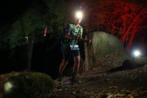 BIB: 
                            <button type="button" onclick="openModal(13619565)" class="btn btn-primary btn-sm float-right btn-popup" data-toggle="modal" data-target=".modal-high-quality">
                        <i class="fas fa-shopping-cart"></i> Add to Cart
                    </button>
                                            <button type="button" onclick="isThisMe(13619565, true)" class="btn btn-success btn-sm float-right btn-popup btn-isme hidden" data-toggle="tooltip" data-placement="bottom" title="นี่คือรูปของคุณใช่ไหม คลิกที่นี่เพื่อเอาเข้าอัลบั้ม">
                        <i class="fas fa-plus"></i> Add to album
                    </button>
                    <button type="button" onclick="isThisMe(13619565, false)" class="btn btn-warning btn-sm float-right btn-popup btn-isnotme hidden">
                        <i class="fas fa-ban"></i> Remove from album
                    </button>