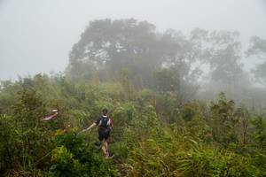 BIB: 
                            <button type="button" onclick="openModal(18622293)" class="btn btn-primary btn-sm float-right btn-popup" data-toggle="modal" data-target=".modal-high-quality">
                        <i class="fas fa-shopping-cart"></i> Add to Cart
                    </button>
                                            <button type="button" onclick="isThisMe(18622293, true)" class="btn btn-success btn-sm float-right btn-popup btn-isme hidden" data-toggle="tooltip" data-placement="bottom" title="นี่คือรูปของคุณใช่ไหม คลิกที่นี่เพื่อเอาเข้าอัลบั้ม">
                        <i class="fas fa-plus"></i> Add to album
                    </button>
                    <button type="button" onclick="isThisMe(18622293, false)" class="btn btn-warning btn-sm float-right btn-popup btn-isnotme hidden">
                        <i class="fas fa-ban"></i> Remove from album
                    </button>