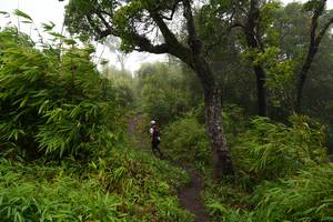 BIB: 
                            <button type="button" onclick="openModal(18622287)" class="btn btn-primary btn-sm float-right btn-popup" data-toggle="modal" data-target=".modal-high-quality">
                        <i class="fas fa-shopping-cart"></i> Add to Cart
                    </button>
                                            <button type="button" onclick="isThisMe(18622287, true)" class="btn btn-success btn-sm float-right btn-popup btn-isme hidden" data-toggle="tooltip" data-placement="bottom" title="นี่คือรูปของคุณใช่ไหม คลิกที่นี่เพื่อเอาเข้าอัลบั้ม">
                        <i class="fas fa-plus"></i> Add to album
                    </button>
                    <button type="button" onclick="isThisMe(18622287, false)" class="btn btn-warning btn-sm float-right btn-popup btn-isnotme hidden">
                        <i class="fas fa-ban"></i> Remove from album
                    </button>