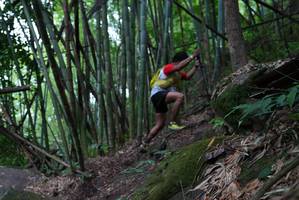 BIB: 
                            <button type="button" onclick="openModal(18622272)" class="btn btn-primary btn-sm float-right btn-popup" data-toggle="modal" data-target=".modal-high-quality">
                        <i class="fas fa-shopping-cart"></i> Add to Cart
                    </button>
                                            <button type="button" onclick="isThisMe(18622272, true)" class="btn btn-success btn-sm float-right btn-popup btn-isme hidden" data-toggle="tooltip" data-placement="bottom" title="นี่คือรูปของคุณใช่ไหม คลิกที่นี่เพื่อเอาเข้าอัลบั้ม">
                        <i class="fas fa-plus"></i> Add to album
                    </button>
                    <button type="button" onclick="isThisMe(18622272, false)" class="btn btn-warning btn-sm float-right btn-popup btn-isnotme hidden">
                        <i class="fas fa-ban"></i> Remove from album
                    </button>