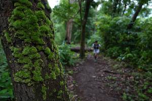 BIB: 
                            <button type="button" onclick="openModal(18622280)" class="btn btn-primary btn-sm float-right btn-popup" data-toggle="modal" data-target=".modal-high-quality">
                        <i class="fas fa-shopping-cart"></i> Add to Cart
                    </button>
                                            <button type="button" onclick="isThisMe(18622280, true)" class="btn btn-success btn-sm float-right btn-popup btn-isme hidden" data-toggle="tooltip" data-placement="bottom" title="นี่คือรูปของคุณใช่ไหม คลิกที่นี่เพื่อเอาเข้าอัลบั้ม">
                        <i class="fas fa-plus"></i> Add to album
                    </button>
                    <button type="button" onclick="isThisMe(18622280, false)" class="btn btn-warning btn-sm float-right btn-popup btn-isnotme hidden">
                        <i class="fas fa-ban"></i> Remove from album
                    </button>