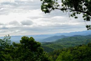 BIB: 
                            <button type="button" onclick="openModal(18622277)" class="btn btn-primary btn-sm float-right btn-popup" data-toggle="modal" data-target=".modal-high-quality">
                        <i class="fas fa-shopping-cart"></i> Add to Cart
                    </button>
                                            <button type="button" onclick="isThisMe(18622277, true)" class="btn btn-success btn-sm float-right btn-popup btn-isme hidden" data-toggle="tooltip" data-placement="bottom" title="นี่คือรูปของคุณใช่ไหม คลิกที่นี่เพื่อเอาเข้าอัลบั้ม">
                        <i class="fas fa-plus"></i> Add to album
                    </button>
                    <button type="button" onclick="isThisMe(18622277, false)" class="btn btn-warning btn-sm float-right btn-popup btn-isnotme hidden">
                        <i class="fas fa-ban"></i> Remove from album
                    </button>