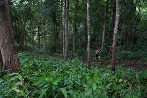 BIB: 
                            <button type="button" onclick="openModal(18622279)" class="btn btn-primary btn-sm float-right btn-popup" data-toggle="modal" data-target=".modal-high-quality">
                        <i class="fas fa-shopping-cart"></i> Add to Cart
                    </button>
                                            <button type="button" onclick="isThisMe(18622279, true)" class="btn btn-success btn-sm float-right btn-popup btn-isme hidden" data-toggle="tooltip" data-placement="bottom" title="นี่คือรูปของคุณใช่ไหม คลิกที่นี่เพื่อเอาเข้าอัลบั้ม">
                        <i class="fas fa-plus"></i> Add to album
                    </button>
                    <button type="button" onclick="isThisMe(18622279, false)" class="btn btn-warning btn-sm float-right btn-popup btn-isnotme hidden">
                        <i class="fas fa-ban"></i> Remove from album
                    </button>