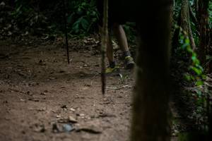 BIB: 
                            <button type="button" onclick="openModal(18622462)" class="btn btn-primary btn-sm float-right btn-popup" data-toggle="modal" data-target=".modal-high-quality">
                        <i class="fas fa-shopping-cart"></i> Add to Cart
                    </button>
                                            <button type="button" onclick="isThisMe(18622462, true)" class="btn btn-success btn-sm float-right btn-popup btn-isme hidden" data-toggle="tooltip" data-placement="bottom" title="นี่คือรูปของคุณใช่ไหม คลิกที่นี่เพื่อเอาเข้าอัลบั้ม">
                        <i class="fas fa-plus"></i> Add to album
                    </button>
                    <button type="button" onclick="isThisMe(18622462, false)" class="btn btn-warning btn-sm float-right btn-popup btn-isnotme hidden">
                        <i class="fas fa-ban"></i> Remove from album
                    </button>