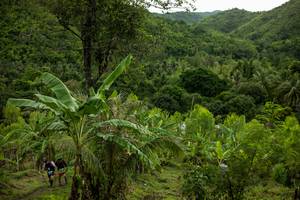 BIB: 
                            <button type="button" onclick="openModal(18622501)" class="btn btn-primary btn-sm float-right btn-popup" data-toggle="modal" data-target=".modal-high-quality">
                        <i class="fas fa-shopping-cart"></i> Add to Cart
                    </button>
                                            <button type="button" onclick="isThisMe(18622501, true)" class="btn btn-success btn-sm float-right btn-popup btn-isme hidden" data-toggle="tooltip" data-placement="bottom" title="นี่คือรูปของคุณใช่ไหม คลิกที่นี่เพื่อเอาเข้าอัลบั้ม">
                        <i class="fas fa-plus"></i> Add to album
                    </button>
                    <button type="button" onclick="isThisMe(18622501, false)" class="btn btn-warning btn-sm float-right btn-popup btn-isnotme hidden">
                        <i class="fas fa-ban"></i> Remove from album
                    </button>