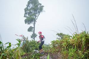 BIB: 
                            <button type="button" onclick="openModal(18519392)" class="btn btn-primary btn-sm float-right btn-popup" data-toggle="modal" data-target=".modal-high-quality">
                        <i class="fas fa-shopping-cart"></i> Add to Cart
                    </button>
                                            <button type="button" onclick="isThisMe(18519392, true)" class="btn btn-success btn-sm float-right btn-popup btn-isme hidden" data-toggle="tooltip" data-placement="bottom" title="นี่คือรูปของคุณใช่ไหม คลิกที่นี่เพื่อเอาเข้าอัลบั้ม">
                        <i class="fas fa-plus"></i> Add to album
                    </button>
                    <button type="button" onclick="isThisMe(18519392, false)" class="btn btn-warning btn-sm float-right btn-popup btn-isnotme hidden">
                        <i class="fas fa-ban"></i> Remove from album
                    </button>