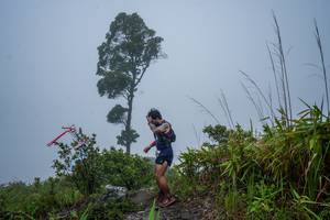 BIB: 
                            <button type="button" onclick="openModal(18519440)" class="btn btn-primary btn-sm float-right btn-popup" data-toggle="modal" data-target=".modal-high-quality">
                        <i class="fas fa-shopping-cart"></i> Add to Cart
                    </button>
                                            <button type="button" onclick="isThisMe(18519440, true)" class="btn btn-success btn-sm float-right btn-popup btn-isme hidden" data-toggle="tooltip" data-placement="bottom" title="นี่คือรูปของคุณใช่ไหม คลิกที่นี่เพื่อเอาเข้าอัลบั้ม">
                        <i class="fas fa-plus"></i> Add to album
                    </button>
                    <button type="button" onclick="isThisMe(18519440, false)" class="btn btn-warning btn-sm float-right btn-popup btn-isnotme hidden">
                        <i class="fas fa-ban"></i> Remove from album
                    </button>