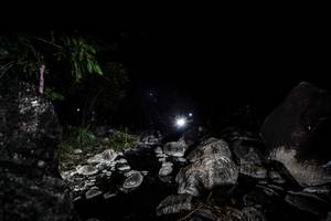 BIB: 
                            <button type="button" onclick="openModal(18574897)" class="btn btn-primary btn-sm float-right btn-popup" data-toggle="modal" data-target=".modal-high-quality">
                        <i class="fas fa-shopping-cart"></i> Add to Cart
                    </button>
                                            <button type="button" onclick="isThisMe(18574897, true)" class="btn btn-success btn-sm float-right btn-popup btn-isme hidden" data-toggle="tooltip" data-placement="bottom" title="นี่คือรูปของคุณใช่ไหม คลิกที่นี่เพื่อเอาเข้าอัลบั้ม">
                        <i class="fas fa-plus"></i> Add to album
                    </button>
                    <button type="button" onclick="isThisMe(18574897, false)" class="btn btn-warning btn-sm float-right btn-popup btn-isnotme hidden">
                        <i class="fas fa-ban"></i> Remove from album
                    </button>