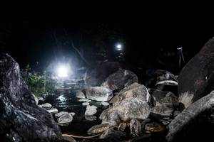 BIB: 
                            <button type="button" onclick="openModal(18574984)" class="btn btn-primary btn-sm float-right btn-popup" data-toggle="modal" data-target=".modal-high-quality">
                        <i class="fas fa-shopping-cart"></i> Add to Cart
                    </button>
                                            <button type="button" onclick="isThisMe(18574984, true)" class="btn btn-success btn-sm float-right btn-popup btn-isme hidden" data-toggle="tooltip" data-placement="bottom" title="นี่คือรูปของคุณใช่ไหม คลิกที่นี่เพื่อเอาเข้าอัลบั้ม">
                        <i class="fas fa-plus"></i> Add to album
                    </button>
                    <button type="button" onclick="isThisMe(18574984, false)" class="btn btn-warning btn-sm float-right btn-popup btn-isnotme hidden">
                        <i class="fas fa-ban"></i> Remove from album
                    </button>