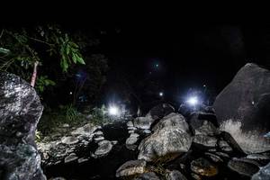 BIB: 
                            <button type="button" onclick="openModal(18575284)" class="btn btn-primary btn-sm float-right btn-popup" data-toggle="modal" data-target=".modal-high-quality">
                        <i class="fas fa-shopping-cart"></i> Add to Cart
                    </button>
                                            <button type="button" onclick="isThisMe(18575284, true)" class="btn btn-success btn-sm float-right btn-popup btn-isme hidden" data-toggle="tooltip" data-placement="bottom" title="นี่คือรูปของคุณใช่ไหม คลิกที่นี่เพื่อเอาเข้าอัลบั้ม">
                        <i class="fas fa-plus"></i> Add to album
                    </button>
                    <button type="button" onclick="isThisMe(18575284, false)" class="btn btn-warning btn-sm float-right btn-popup btn-isnotme hidden">
                        <i class="fas fa-ban"></i> Remove from album
                    </button>