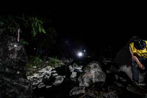 BIB: 
                            <button type="button" onclick="openModal(18574893)" class="btn btn-primary btn-sm float-right btn-popup" data-toggle="modal" data-target=".modal-high-quality">
                        <i class="fas fa-shopping-cart"></i> Add to Cart
                    </button>
                                            <button type="button" onclick="isThisMe(18574893, true)" class="btn btn-success btn-sm float-right btn-popup btn-isme hidden" data-toggle="tooltip" data-placement="bottom" title="นี่คือรูปของคุณใช่ไหม คลิกที่นี่เพื่อเอาเข้าอัลบั้ม">
                        <i class="fas fa-plus"></i> Add to album
                    </button>
                    <button type="button" onclick="isThisMe(18574893, false)" class="btn btn-warning btn-sm float-right btn-popup btn-isnotme hidden">
                        <i class="fas fa-ban"></i> Remove from album
                    </button>