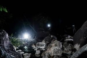 BIB: 
                            <button type="button" onclick="openModal(18574965)" class="btn btn-primary btn-sm float-right btn-popup" data-toggle="modal" data-target=".modal-high-quality">
                        <i class="fas fa-shopping-cart"></i> Add to Cart
                    </button>
                                            <button type="button" onclick="isThisMe(18574965, true)" class="btn btn-success btn-sm float-right btn-popup btn-isme hidden" data-toggle="tooltip" data-placement="bottom" title="นี่คือรูปของคุณใช่ไหม คลิกที่นี่เพื่อเอาเข้าอัลบั้ม">
                        <i class="fas fa-plus"></i> Add to album
                    </button>
                    <button type="button" onclick="isThisMe(18574965, false)" class="btn btn-warning btn-sm float-right btn-popup btn-isnotme hidden">
                        <i class="fas fa-ban"></i> Remove from album
                    </button>