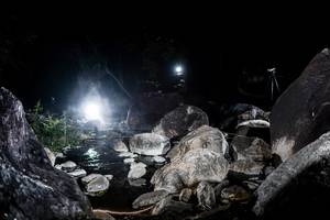 BIB: 
                            <button type="button" onclick="openModal(18574975)" class="btn btn-primary btn-sm float-right btn-popup" data-toggle="modal" data-target=".modal-high-quality">
                        <i class="fas fa-shopping-cart"></i> Add to Cart
                    </button>
                                            <button type="button" onclick="isThisMe(18574975, true)" class="btn btn-success btn-sm float-right btn-popup btn-isme hidden" data-toggle="tooltip" data-placement="bottom" title="นี่คือรูปของคุณใช่ไหม คลิกที่นี่เพื่อเอาเข้าอัลบั้ม">
                        <i class="fas fa-plus"></i> Add to album
                    </button>
                    <button type="button" onclick="isThisMe(18574975, false)" class="btn btn-warning btn-sm float-right btn-popup btn-isnotme hidden">
                        <i class="fas fa-ban"></i> Remove from album
                    </button>