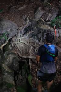 BIB: 
                            <button type="button" onclick="openModal(18488157)" class="btn btn-primary btn-sm float-right btn-popup" data-toggle="modal" data-target=".modal-high-quality">
                        <i class="fas fa-shopping-cart"></i> Add to Cart
                    </button>
                                            <button type="button" onclick="isThisMe(18488157, true)" class="btn btn-success btn-sm float-right btn-popup btn-isme hidden" data-toggle="tooltip" data-placement="bottom" title="นี่คือรูปของคุณใช่ไหม คลิกที่นี่เพื่อเอาเข้าอัลบั้ม">
                        <i class="fas fa-plus"></i> Add to album
                    </button>
                    <button type="button" onclick="isThisMe(18488157, false)" class="btn btn-warning btn-sm float-right btn-popup btn-isnotme hidden">
                        <i class="fas fa-ban"></i> Remove from album
                    </button>