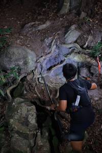 BIB: 
                            <button type="button" onclick="openModal(18488206)" class="btn btn-primary btn-sm float-right btn-popup" data-toggle="modal" data-target=".modal-high-quality">
                        <i class="fas fa-shopping-cart"></i> Add to Cart
                    </button>
                                            <button type="button" onclick="isThisMe(18488206, true)" class="btn btn-success btn-sm float-right btn-popup btn-isme hidden" data-toggle="tooltip" data-placement="bottom" title="นี่คือรูปของคุณใช่ไหม คลิกที่นี่เพื่อเอาเข้าอัลบั้ม">
                        <i class="fas fa-plus"></i> Add to album
                    </button>
                    <button type="button" onclick="isThisMe(18488206, false)" class="btn btn-warning btn-sm float-right btn-popup btn-isnotme hidden">
                        <i class="fas fa-ban"></i> Remove from album
                    </button>