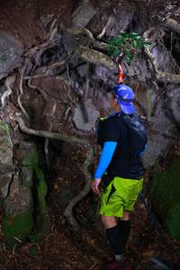 BIB: 
                            <button type="button" onclick="openModal(18486152)" class="btn btn-primary btn-sm float-right btn-popup" data-toggle="modal" data-target=".modal-high-quality">
                        <i class="fas fa-shopping-cart"></i> Add to Cart
                    </button>
                                            <button type="button" onclick="isThisMe(18486152, true)" class="btn btn-success btn-sm float-right btn-popup btn-isme hidden" data-toggle="tooltip" data-placement="bottom" title="นี่คือรูปของคุณใช่ไหม คลิกที่นี่เพื่อเอาเข้าอัลบั้ม">
                        <i class="fas fa-plus"></i> Add to album
                    </button>
                    <button type="button" onclick="isThisMe(18486152, false)" class="btn btn-warning btn-sm float-right btn-popup btn-isnotme hidden">
                        <i class="fas fa-ban"></i> Remove from album
                    </button>