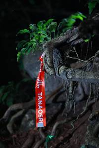 BIB: 
                            <button type="button" onclick="openModal(18490104)" class="btn btn-primary btn-sm float-right btn-popup" data-toggle="modal" data-target=".modal-high-quality">
                        <i class="fas fa-shopping-cart"></i> Add to Cart
                    </button>
                                            <button type="button" onclick="isThisMe(18490104, true)" class="btn btn-success btn-sm float-right btn-popup btn-isme hidden" data-toggle="tooltip" data-placement="bottom" title="นี่คือรูปของคุณใช่ไหม คลิกที่นี่เพื่อเอาเข้าอัลบั้ม">
                        <i class="fas fa-plus"></i> Add to album
                    </button>
                    <button type="button" onclick="isThisMe(18490104, false)" class="btn btn-warning btn-sm float-right btn-popup btn-isnotme hidden">
                        <i class="fas fa-ban"></i> Remove from album
                    </button>