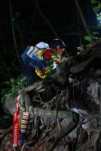 BIB: 
                            <button type="button" onclick="openModal(18544740)" class="btn btn-primary btn-sm float-right btn-popup" data-toggle="modal" data-target=".modal-high-quality">
                        <i class="fas fa-shopping-cart"></i> Add to Cart
                    </button>
                                            <button type="button" onclick="isThisMe(18544740, true)" class="btn btn-success btn-sm float-right btn-popup btn-isme hidden" data-toggle="tooltip" data-placement="bottom" title="นี่คือรูปของคุณใช่ไหม คลิกที่นี่เพื่อเอาเข้าอัลบั้ม">
                        <i class="fas fa-plus"></i> Add to album
                    </button>
                    <button type="button" onclick="isThisMe(18544740, false)" class="btn btn-warning btn-sm float-right btn-popup btn-isnotme hidden">
                        <i class="fas fa-ban"></i> Remove from album
                    </button>