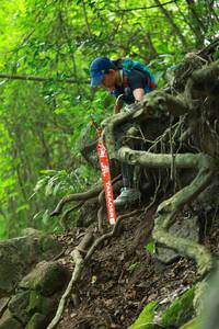 BIB: 
                            <button type="button" onclick="openModal(18543836)" class="btn btn-primary btn-sm float-right btn-popup" data-toggle="modal" data-target=".modal-high-quality">
                        <i class="fas fa-shopping-cart"></i> Add to Cart
                    </button>
                                            <button type="button" onclick="isThisMe(18543836, true)" class="btn btn-success btn-sm float-right btn-popup btn-isme hidden" data-toggle="tooltip" data-placement="bottom" title="นี่คือรูปของคุณใช่ไหม คลิกที่นี่เพื่อเอาเข้าอัลบั้ม">
                        <i class="fas fa-plus"></i> Add to album
                    </button>
                    <button type="button" onclick="isThisMe(18543836, false)" class="btn btn-warning btn-sm float-right btn-popup btn-isnotme hidden">
                        <i class="fas fa-ban"></i> Remove from album
                    </button>