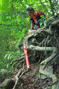 BIB: 
                            <button type="button" onclick="openModal(18544581)" class="btn btn-primary btn-sm float-right btn-popup" data-toggle="modal" data-target=".modal-high-quality">
                        <i class="fas fa-shopping-cart"></i> Add to Cart
                    </button>
                                            <button type="button" onclick="isThisMe(18544581, true)" class="btn btn-success btn-sm float-right btn-popup btn-isme hidden" data-toggle="tooltip" data-placement="bottom" title="นี่คือรูปของคุณใช่ไหม คลิกที่นี่เพื่อเอาเข้าอัลบั้ม">
                        <i class="fas fa-plus"></i> Add to album
                    </button>
                    <button type="button" onclick="isThisMe(18544581, false)" class="btn btn-warning btn-sm float-right btn-popup btn-isnotme hidden">
                        <i class="fas fa-ban"></i> Remove from album
                    </button>