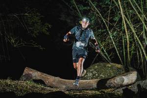 BIB: 
                            <button type="button" onclick="openModal(18525678)" class="btn btn-primary btn-sm float-right btn-popup" data-toggle="modal" data-target=".modal-high-quality">
                        <i class="fas fa-shopping-cart"></i> Add to Cart
                    </button>
                                            <button type="button" onclick="isThisMe(18525678, true)" class="btn btn-success btn-sm float-right btn-popup btn-isme hidden" data-toggle="tooltip" data-placement="bottom" title="นี่คือรูปของคุณใช่ไหม คลิกที่นี่เพื่อเอาเข้าอัลบั้ม">
                        <i class="fas fa-plus"></i> Add to album
                    </button>
                    <button type="button" onclick="isThisMe(18525678, false)" class="btn btn-warning btn-sm float-right btn-popup btn-isnotme hidden">
                        <i class="fas fa-ban"></i> Remove from album
                    </button>