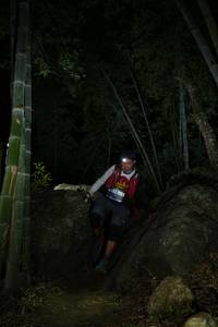 BIB: 
                            <button type="button" onclick="openModal(18492523)" class="btn btn-primary btn-sm float-right btn-popup" data-toggle="modal" data-target=".modal-high-quality">
                        <i class="fas fa-shopping-cart"></i> Add to Cart
                    </button>
                                            <button type="button" onclick="isThisMe(18492523, true)" class="btn btn-success btn-sm float-right btn-popup btn-isme hidden" data-toggle="tooltip" data-placement="bottom" title="นี่คือรูปของคุณใช่ไหม คลิกที่นี่เพื่อเอาเข้าอัลบั้ม">
                        <i class="fas fa-plus"></i> Add to album
                    </button>
                    <button type="button" onclick="isThisMe(18492523, false)" class="btn btn-warning btn-sm float-right btn-popup btn-isnotme hidden">
                        <i class="fas fa-ban"></i> Remove from album
                    </button>