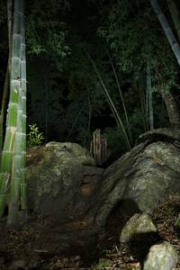 BIB: 
                            <button type="button" onclick="openModal(18491251)" class="btn btn-primary btn-sm float-right btn-popup" data-toggle="modal" data-target=".modal-high-quality">
                        <i class="fas fa-shopping-cart"></i> Add to Cart
                    </button>
                                            <button type="button" onclick="isThisMe(18491251, true)" class="btn btn-success btn-sm float-right btn-popup btn-isme hidden" data-toggle="tooltip" data-placement="bottom" title="นี่คือรูปของคุณใช่ไหม คลิกที่นี่เพื่อเอาเข้าอัลบั้ม">
                        <i class="fas fa-plus"></i> Add to album
                    </button>
                    <button type="button" onclick="isThisMe(18491251, false)" class="btn btn-warning btn-sm float-right btn-popup btn-isnotme hidden">
                        <i class="fas fa-ban"></i> Remove from album
                    </button>