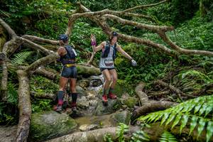 BIB: 
                            <button type="button" onclick="openModal(18495870)" class="btn btn-primary btn-sm float-right btn-popup" data-toggle="modal" data-target=".modal-high-quality">
                        <i class="fas fa-shopping-cart"></i> Add to Cart
                    </button>
                                            <button type="button" onclick="isThisMe(18495870, true)" class="btn btn-success btn-sm float-right btn-popup btn-isme hidden" data-toggle="tooltip" data-placement="bottom" title="นี่คือรูปของคุณใช่ไหม คลิกที่นี่เพื่อเอาเข้าอัลบั้ม">
                        <i class="fas fa-plus"></i> Add to album
                    </button>
                    <button type="button" onclick="isThisMe(18495870, false)" class="btn btn-warning btn-sm float-right btn-popup btn-isnotme hidden">
                        <i class="fas fa-ban"></i> Remove from album
                    </button>