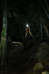 BIB: 
                            <button type="button" onclick="openModal(18492600)" class="btn btn-primary btn-sm float-right btn-popup" data-toggle="modal" data-target=".modal-high-quality">
                        <i class="fas fa-shopping-cart"></i> Add to Cart
                    </button>
                                            <button type="button" onclick="isThisMe(18492600, true)" class="btn btn-success btn-sm float-right btn-popup btn-isme hidden" data-toggle="tooltip" data-placement="bottom" title="นี่คือรูปของคุณใช่ไหม คลิกที่นี่เพื่อเอาเข้าอัลบั้ม">
                        <i class="fas fa-plus"></i> Add to album
                    </button>
                    <button type="button" onclick="isThisMe(18492600, false)" class="btn btn-warning btn-sm float-right btn-popup btn-isnotme hidden">
                        <i class="fas fa-ban"></i> Remove from album
                    </button>