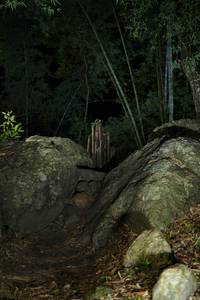 BIB: 
                            <button type="button" onclick="openModal(18491079)" class="btn btn-primary btn-sm float-right btn-popup" data-toggle="modal" data-target=".modal-high-quality">
                        <i class="fas fa-shopping-cart"></i> Add to Cart
                    </button>
                                            <button type="button" onclick="isThisMe(18491079, true)" class="btn btn-success btn-sm float-right btn-popup btn-isme hidden" data-toggle="tooltip" data-placement="bottom" title="นี่คือรูปของคุณใช่ไหม คลิกที่นี่เพื่อเอาเข้าอัลบั้ม">
                        <i class="fas fa-plus"></i> Add to album
                    </button>
                    <button type="button" onclick="isThisMe(18491079, false)" class="btn btn-warning btn-sm float-right btn-popup btn-isnotme hidden">
                        <i class="fas fa-ban"></i> Remove from album
                    </button>