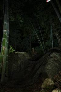 BIB: 
                            <button type="button" onclick="openModal(18491867)" class="btn btn-primary btn-sm float-right btn-popup" data-toggle="modal" data-target=".modal-high-quality">
                        <i class="fas fa-shopping-cart"></i> Add to Cart
                    </button>
                                            <button type="button" onclick="isThisMe(18491867, true)" class="btn btn-success btn-sm float-right btn-popup btn-isme hidden" data-toggle="tooltip" data-placement="bottom" title="นี่คือรูปของคุณใช่ไหม คลิกที่นี่เพื่อเอาเข้าอัลบั้ม">
                        <i class="fas fa-plus"></i> Add to album
                    </button>
                    <button type="button" onclick="isThisMe(18491867, false)" class="btn btn-warning btn-sm float-right btn-popup btn-isnotme hidden">
                        <i class="fas fa-ban"></i> Remove from album
                    </button>