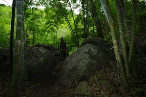 BIB: 
                            <button type="button" onclick="openModal(18493029)" class="btn btn-primary btn-sm float-right btn-popup" data-toggle="modal" data-target=".modal-high-quality">
                        <i class="fas fa-shopping-cart"></i> Add to Cart
                    </button>
                                            <button type="button" onclick="isThisMe(18493029, true)" class="btn btn-success btn-sm float-right btn-popup btn-isme hidden" data-toggle="tooltip" data-placement="bottom" title="นี่คือรูปของคุณใช่ไหม คลิกที่นี่เพื่อเอาเข้าอัลบั้ม">
                        <i class="fas fa-plus"></i> Add to album
                    </button>
                    <button type="button" onclick="isThisMe(18493029, false)" class="btn btn-warning btn-sm float-right btn-popup btn-isnotme hidden">
                        <i class="fas fa-ban"></i> Remove from album
                    </button>