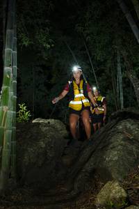 BIB: 
                            <button type="button" onclick="openModal(18491593)" class="btn btn-primary btn-sm float-right btn-popup" data-toggle="modal" data-target=".modal-high-quality">
                        <i class="fas fa-shopping-cart"></i> Add to Cart
                    </button>
                                            <button type="button" onclick="isThisMe(18491593, true)" class="btn btn-success btn-sm float-right btn-popup btn-isme hidden" data-toggle="tooltip" data-placement="bottom" title="นี่คือรูปของคุณใช่ไหม คลิกที่นี่เพื่อเอาเข้าอัลบั้ม">
                        <i class="fas fa-plus"></i> Add to album
                    </button>
                    <button type="button" onclick="isThisMe(18491593, false)" class="btn btn-warning btn-sm float-right btn-popup btn-isnotme hidden">
                        <i class="fas fa-ban"></i> Remove from album
                    </button>