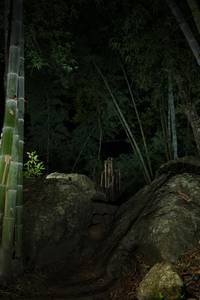 BIB: 
                            <button type="button" onclick="openModal(18491488)" class="btn btn-primary btn-sm float-right btn-popup" data-toggle="modal" data-target=".modal-high-quality">
                        <i class="fas fa-shopping-cart"></i> Add to Cart
                    </button>
                                            <button type="button" onclick="isThisMe(18491488, true)" class="btn btn-success btn-sm float-right btn-popup btn-isme hidden" data-toggle="tooltip" data-placement="bottom" title="นี่คือรูปของคุณใช่ไหม คลิกที่นี่เพื่อเอาเข้าอัลบั้ม">
                        <i class="fas fa-plus"></i> Add to album
                    </button>
                    <button type="button" onclick="isThisMe(18491488, false)" class="btn btn-warning btn-sm float-right btn-popup btn-isnotme hidden">
                        <i class="fas fa-ban"></i> Remove from album
                    </button>