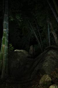 BIB: 
                            <button type="button" onclick="openModal(18492097)" class="btn btn-primary btn-sm float-right btn-popup" data-toggle="modal" data-target=".modal-high-quality">
                        <i class="fas fa-shopping-cart"></i> Add to Cart
                    </button>
                                            <button type="button" onclick="isThisMe(18492097, true)" class="btn btn-success btn-sm float-right btn-popup btn-isme hidden" data-toggle="tooltip" data-placement="bottom" title="นี่คือรูปของคุณใช่ไหม คลิกที่นี่เพื่อเอาเข้าอัลบั้ม">
                        <i class="fas fa-plus"></i> Add to album
                    </button>
                    <button type="button" onclick="isThisMe(18492097, false)" class="btn btn-warning btn-sm float-right btn-popup btn-isnotme hidden">
                        <i class="fas fa-ban"></i> Remove from album
                    </button>