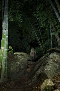 BIB: 
                            <button type="button" onclick="openModal(18491442)" class="btn btn-primary btn-sm float-right btn-popup" data-toggle="modal" data-target=".modal-high-quality">
                        <i class="fas fa-shopping-cart"></i> Add to Cart
                    </button>
                                            <button type="button" onclick="isThisMe(18491442, true)" class="btn btn-success btn-sm float-right btn-popup btn-isme hidden" data-toggle="tooltip" data-placement="bottom" title="นี่คือรูปของคุณใช่ไหม คลิกที่นี่เพื่อเอาเข้าอัลบั้ม">
                        <i class="fas fa-plus"></i> Add to album
                    </button>
                    <button type="button" onclick="isThisMe(18491442, false)" class="btn btn-warning btn-sm float-right btn-popup btn-isnotme hidden">
                        <i class="fas fa-ban"></i> Remove from album
                    </button>