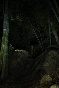 BIB: 
                            <button type="button" onclick="openModal(18492093)" class="btn btn-primary btn-sm float-right btn-popup" data-toggle="modal" data-target=".modal-high-quality">
                        <i class="fas fa-shopping-cart"></i> Add to Cart
                    </button>
                                            <button type="button" onclick="isThisMe(18492093, true)" class="btn btn-success btn-sm float-right btn-popup btn-isme hidden" data-toggle="tooltip" data-placement="bottom" title="นี่คือรูปของคุณใช่ไหม คลิกที่นี่เพื่อเอาเข้าอัลบั้ม">
                        <i class="fas fa-plus"></i> Add to album
                    </button>
                    <button type="button" onclick="isThisMe(18492093, false)" class="btn btn-warning btn-sm float-right btn-popup btn-isnotme hidden">
                        <i class="fas fa-ban"></i> Remove from album
                    </button>