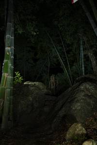 BIB: 
                            <button type="button" onclick="openModal(18491866)" class="btn btn-primary btn-sm float-right btn-popup" data-toggle="modal" data-target=".modal-high-quality">
                        <i class="fas fa-shopping-cart"></i> Add to Cart
                    </button>
                                            <button type="button" onclick="isThisMe(18491866, true)" class="btn btn-success btn-sm float-right btn-popup btn-isme hidden" data-toggle="tooltip" data-placement="bottom" title="นี่คือรูปของคุณใช่ไหม คลิกที่นี่เพื่อเอาเข้าอัลบั้ม">
                        <i class="fas fa-plus"></i> Add to album
                    </button>
                    <button type="button" onclick="isThisMe(18491866, false)" class="btn btn-warning btn-sm float-right btn-popup btn-isnotme hidden">
                        <i class="fas fa-ban"></i> Remove from album
                    </button>