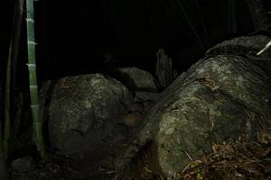 BIB: 
                            <button type="button" onclick="openModal(18490798)" class="btn btn-primary btn-sm float-right btn-popup" data-toggle="modal" data-target=".modal-high-quality">
                        <i class="fas fa-shopping-cart"></i> Add to Cart
                    </button>
                                            <button type="button" onclick="isThisMe(18490798, true)" class="btn btn-success btn-sm float-right btn-popup btn-isme hidden" data-toggle="tooltip" data-placement="bottom" title="นี่คือรูปของคุณใช่ไหม คลิกที่นี่เพื่อเอาเข้าอัลบั้ม">
                        <i class="fas fa-plus"></i> Add to album
                    </button>
                    <button type="button" onclick="isThisMe(18490798, false)" class="btn btn-warning btn-sm float-right btn-popup btn-isnotme hidden">
                        <i class="fas fa-ban"></i> Remove from album
                    </button>