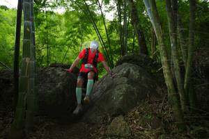 BIB: 
                            <button type="button" onclick="openModal(18493391)" class="btn btn-primary btn-sm float-right btn-popup" data-toggle="modal" data-target=".modal-high-quality">
                        <i class="fas fa-shopping-cart"></i> Add to Cart
                    </button>
                                            <button type="button" onclick="isThisMe(18493391, true)" class="btn btn-success btn-sm float-right btn-popup btn-isme hidden" data-toggle="tooltip" data-placement="bottom" title="นี่คือรูปของคุณใช่ไหม คลิกที่นี่เพื่อเอาเข้าอัลบั้ม">
                        <i class="fas fa-plus"></i> Add to album
                    </button>
                    <button type="button" onclick="isThisMe(18493391, false)" class="btn btn-warning btn-sm float-right btn-popup btn-isnotme hidden">
                        <i class="fas fa-ban"></i> Remove from album
                    </button>