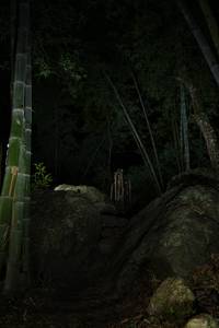 BIB: 
                            <button type="button" onclick="openModal(18492096)" class="btn btn-primary btn-sm float-right btn-popup" data-toggle="modal" data-target=".modal-high-quality">
                        <i class="fas fa-shopping-cart"></i> Add to Cart
                    </button>
                                            <button type="button" onclick="isThisMe(18492096, true)" class="btn btn-success btn-sm float-right btn-popup btn-isme hidden" data-toggle="tooltip" data-placement="bottom" title="นี่คือรูปของคุณใช่ไหม คลิกที่นี่เพื่อเอาเข้าอัลบั้ม">
                        <i class="fas fa-plus"></i> Add to album
                    </button>
                    <button type="button" onclick="isThisMe(18492096, false)" class="btn btn-warning btn-sm float-right btn-popup btn-isnotme hidden">
                        <i class="fas fa-ban"></i> Remove from album
                    </button>