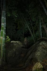 BIB: 
                            <button type="button" onclick="openModal(18491489)" class="btn btn-primary btn-sm float-right btn-popup" data-toggle="modal" data-target=".modal-high-quality">
                        <i class="fas fa-shopping-cart"></i> Add to Cart
                    </button>
                                            <button type="button" onclick="isThisMe(18491489, true)" class="btn btn-success btn-sm float-right btn-popup btn-isme hidden" data-toggle="tooltip" data-placement="bottom" title="นี่คือรูปของคุณใช่ไหม คลิกที่นี่เพื่อเอาเข้าอัลบั้ม">
                        <i class="fas fa-plus"></i> Add to album
                    </button>
                    <button type="button" onclick="isThisMe(18491489, false)" class="btn btn-warning btn-sm float-right btn-popup btn-isnotme hidden">
                        <i class="fas fa-ban"></i> Remove from album
                    </button>