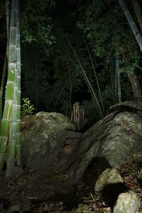 BIB: 
                            <button type="button" onclick="openModal(18491250)" class="btn btn-primary btn-sm float-right btn-popup" data-toggle="modal" data-target=".modal-high-quality">
                        <i class="fas fa-shopping-cart"></i> Add to Cart
                    </button>
                                            <button type="button" onclick="isThisMe(18491250, true)" class="btn btn-success btn-sm float-right btn-popup btn-isme hidden" data-toggle="tooltip" data-placement="bottom" title="นี่คือรูปของคุณใช่ไหม คลิกที่นี่เพื่อเอาเข้าอัลบั้ม">
                        <i class="fas fa-plus"></i> Add to album
                    </button>
                    <button type="button" onclick="isThisMe(18491250, false)" class="btn btn-warning btn-sm float-right btn-popup btn-isnotme hidden">
                        <i class="fas fa-ban"></i> Remove from album
                    </button>